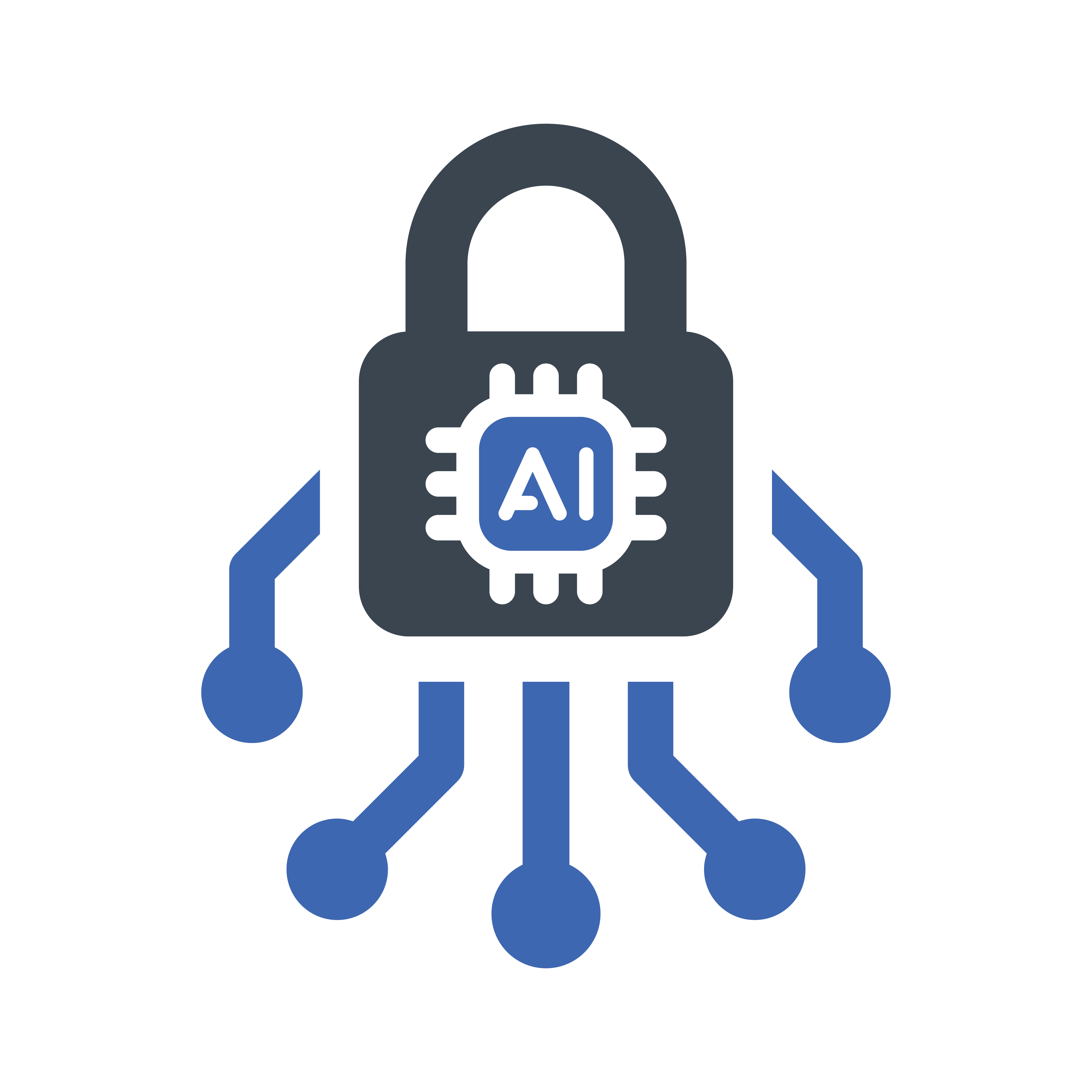 Privacy Risks Logo